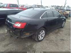 FORD TAURUS 1FAHP2EW2CG137384