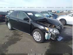 TOYOTA CAMRY 4T4BF1FK1CR228805