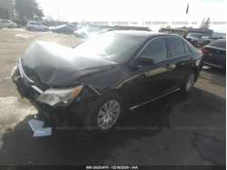 TOYOTA CAMRY 4T4BF1FK1CR228805