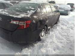 TOYOTA CAMRY HYBRID 4T1BD1FK3DU088158