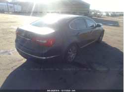 KIA CADENZA KNALN4D73E5165528