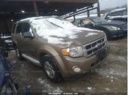 FORD ESCAPE 1FMCU4K35AKA81501