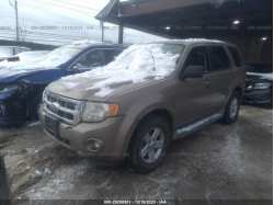 FORD ESCAPE 1FMCU4K35AKA81501