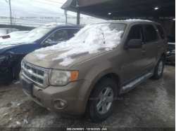 FORD ESCAPE 1FMCU4K35AKA81501