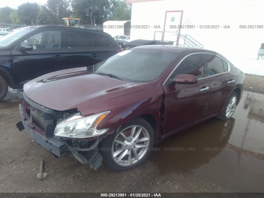 NISSAN MAXIMA 1N4AA5AP4DC806041