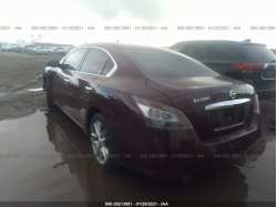 NISSAN MAXIMA 1N4AA5AP4DC806041