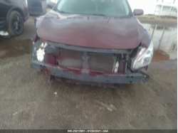NISSAN MAXIMA 1N4AA5AP4DC806041