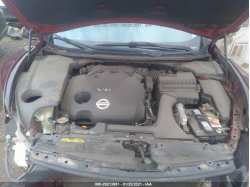 NISSAN MAXIMA 1N4AA5AP4DC806041