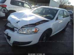 CHEVROLET IMPALA POLICE 2G1WD5E39D1261211