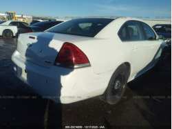 CHEVROLET IMPALA POLICE 2G1WD5E39D1261211