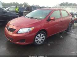 TOYOTA COROLLA 2T1BU4EE4AC252415