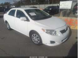 TOYOTA COROLLA 2T1BU4EE7AC262064
