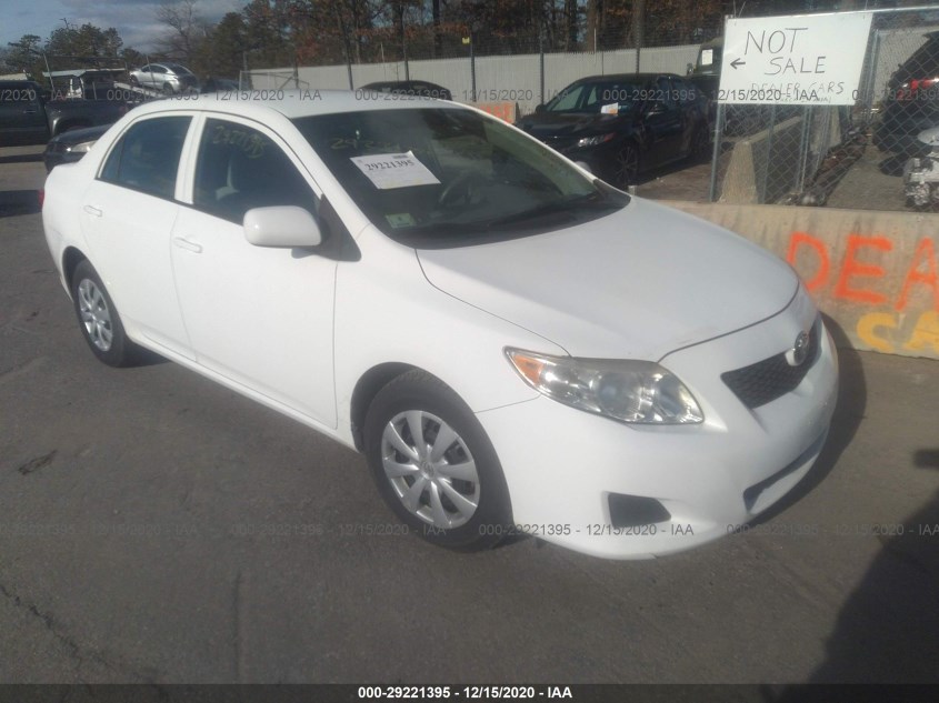 TOYOTA COROLLA 2T1BU4EE7AC262064