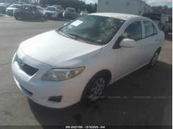 TOYOTA COROLLA 2T1BU4EE7AC262064