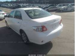 TOYOTA COROLLA 2T1BU4EE7AC262064