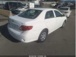 TOYOTA COROLLA 2T1BU4EE7AC262064
