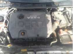 TOYOTA COROLLA 2T1BU4EE7AC262064