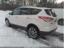 FORD ESCAPE 1FMCU9G96EUD62081