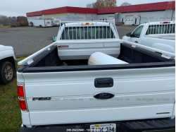FORD F-150 1FTNF1CF2DKF84597