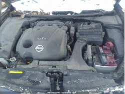 NISSAN MAXIMA 1N4AA5AP7CC864286