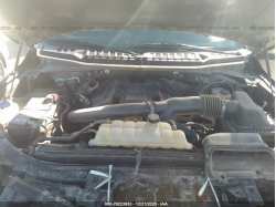 FORD F-150 1FTEW1E45KFB82364