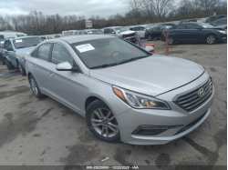 HYUNDAI SONATA 5NPE24AA1FH066499