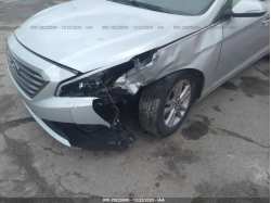 HYUNDAI SONATA 5NPE24AA1FH066499