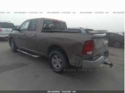 DODGE RAM 1500 1D7RB1GPXAS250576