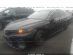 TOYOTA CAMRY JTNB11HK8J3006951