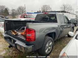 CHEVROLET SILVERADO 1500 3GCPCSE02BG100741
