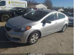 KIA FORTE KNAFK4A62G5507412