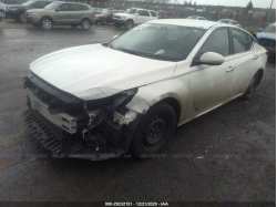 NISSAN ALTIMA 1N4BL4BV7LC133458