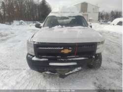 CHEVROLET SILVERADO 1500 1GCRKPEAXDZ297260