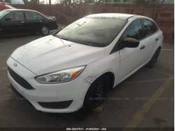 FORD FOCUS 1FADP3E23FL281264