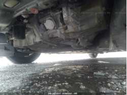 FORD FOCUS 1FADP3E23FL281264