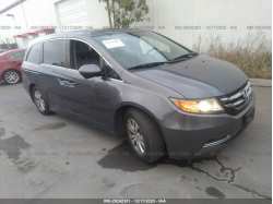 HONDA ODYSSEY 5FNRL5H60EB057599