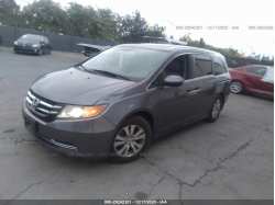 HONDA ODYSSEY 5FNRL5H60EB057599