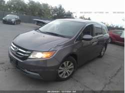 HONDA ODYSSEY 5FNRL5H60EB057599
