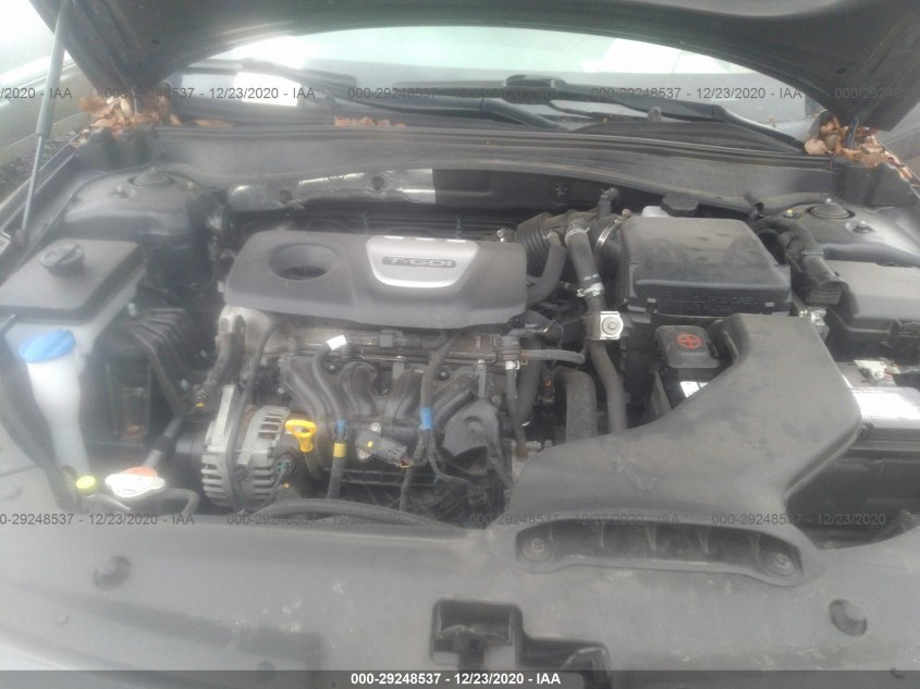KIA OPTIMA 5XXGT4L11GG011437