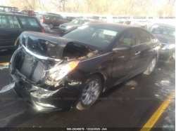 HYUNDAI SONATA 5NPEB4AC4DH735038