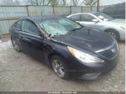 HYUNDAI SONATA 5NPEB4AC3DH768273