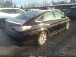 HYUNDAI SONATA HYBRID KMHE24L18GA033453