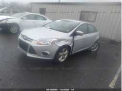 FORD FOCUS 1FADP3F25EL446678