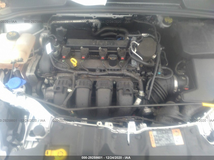 FORD FOCUS 1FADP3F25EL446678