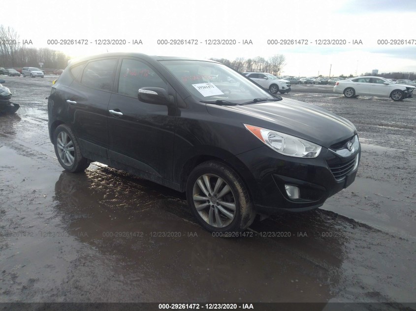 HYUNDAI TUCSON KM8JUCAC3DU710832