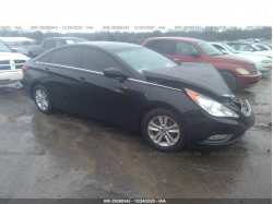 HYUNDAI SONATA 5NPEB4AC8DH743207
