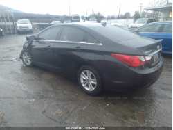 HYUNDAI SONATA 5NPEB4AC8DH743207