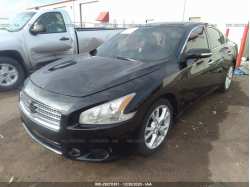 NISSAN MAXIMA 1N4AA5AP6CC829397