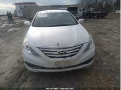 HYUNDAI SONATA 5NPEB4AC7EH863596