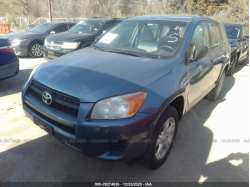 TOYOTA RAV4 JTMBF4DV5AD025104